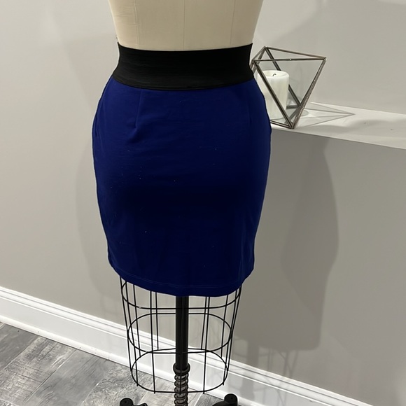 SKIRT - Picture 3 of 4